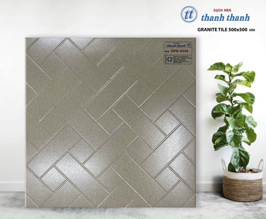 Thanh Thanh  CPG 5230